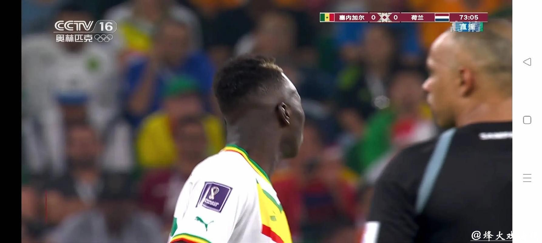 世界杯直播：球场内外精彩瞬间聚焦