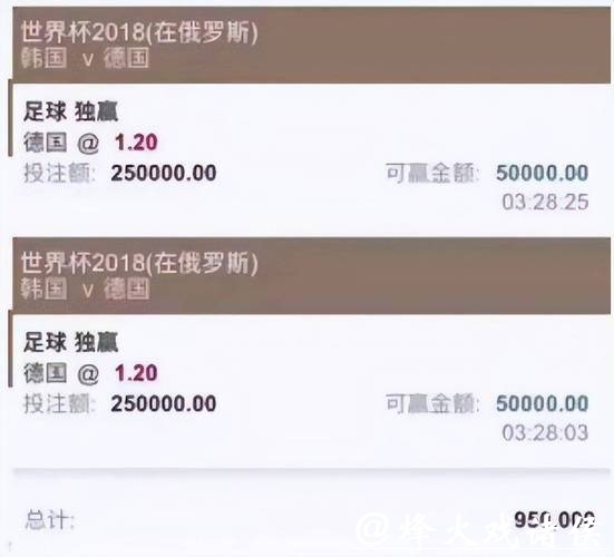 世界杯投注平台专业测评，全面了解下注体验